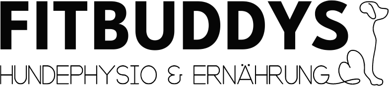 logo fitbuddy