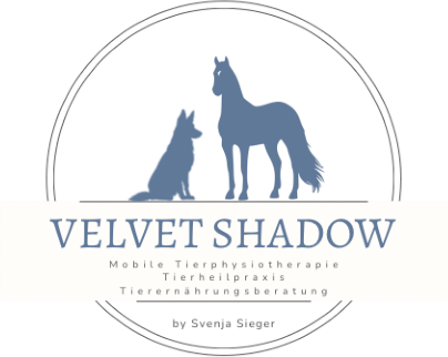 Logo Velvet Shadow